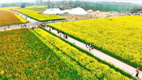 2024年成都世界园艺博览会开幕